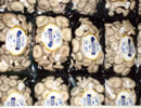 Packed shiitake mushrooms