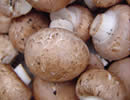 Swiss Brown Buttons mushrooms